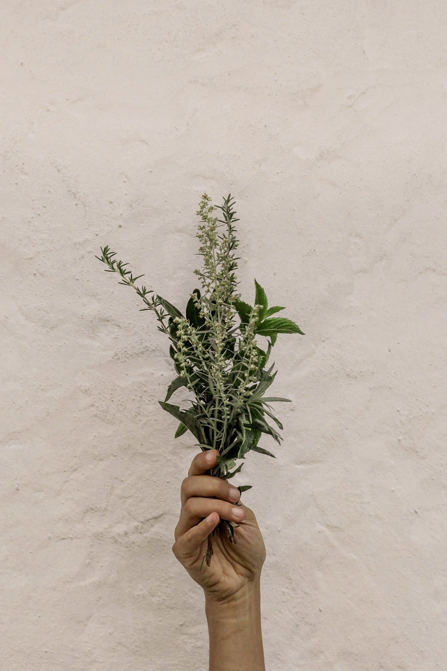 Kit Hand Soap +Hand Cream Mexican Herbs