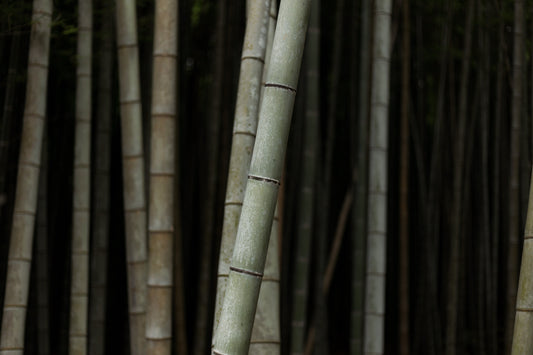 Linen Freshener Green Tea + Bamboo 250 ml